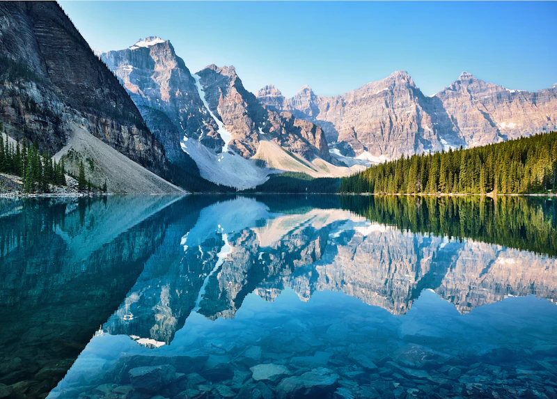 Assignment Help Calgary