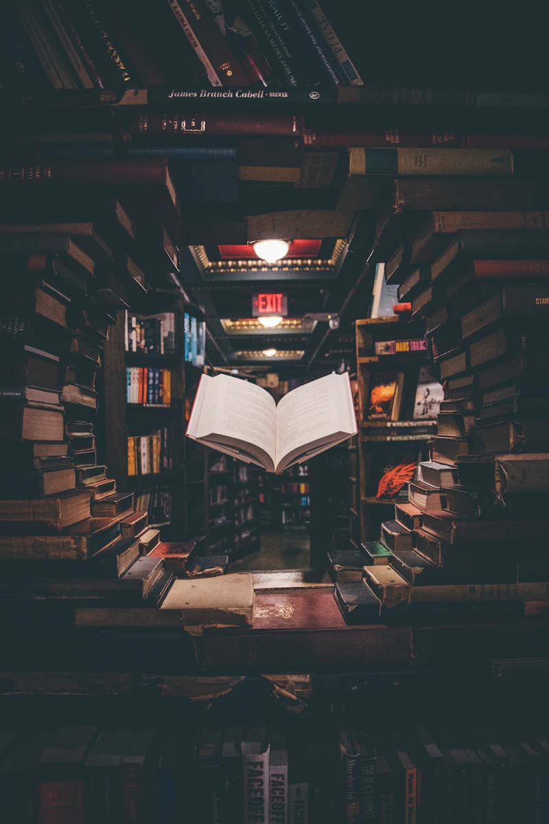 Literature Review